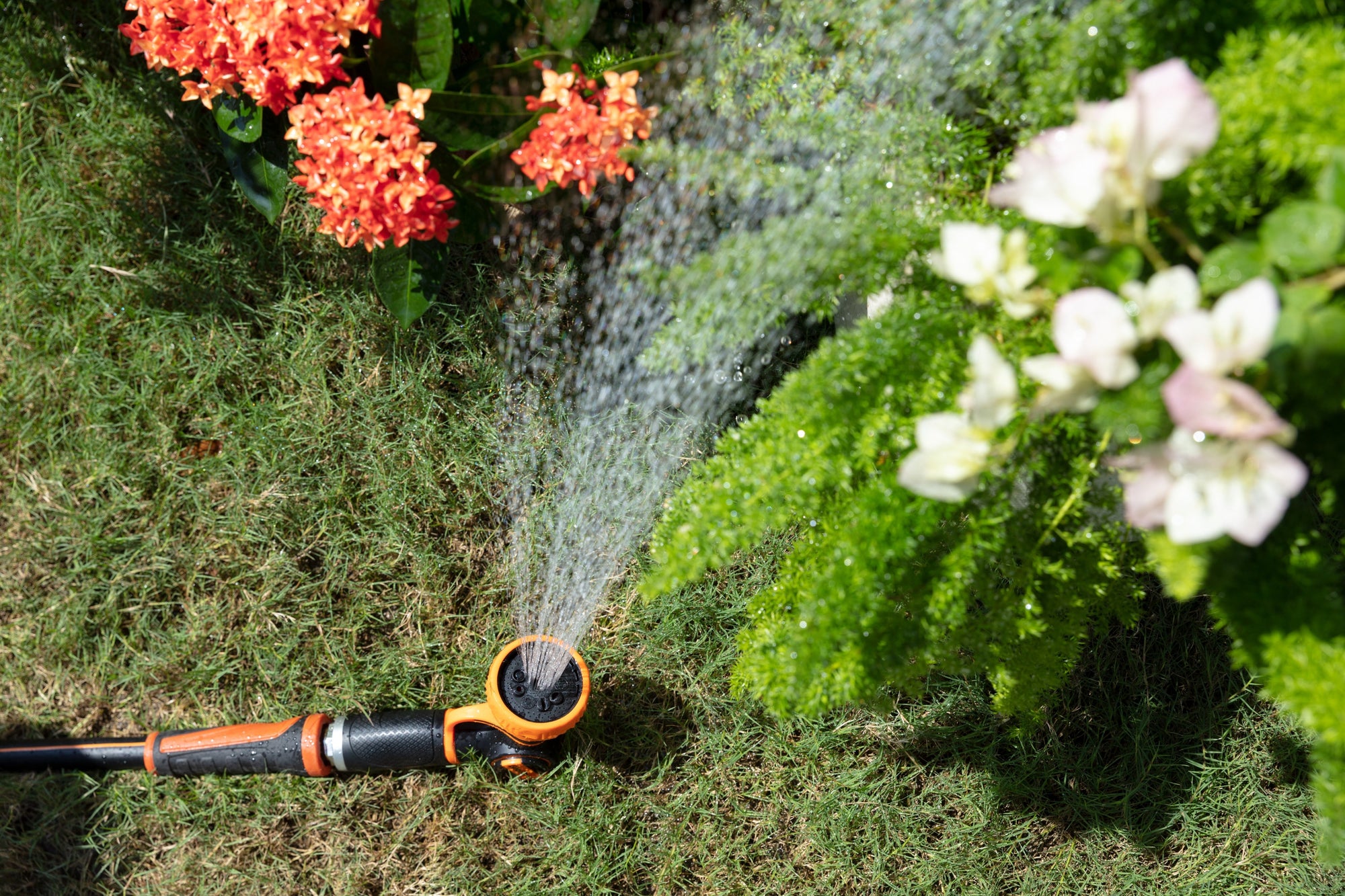 Innovative Uses for Giraffe Tools Retractable Garden Hose Reel: Beyond the Garden
